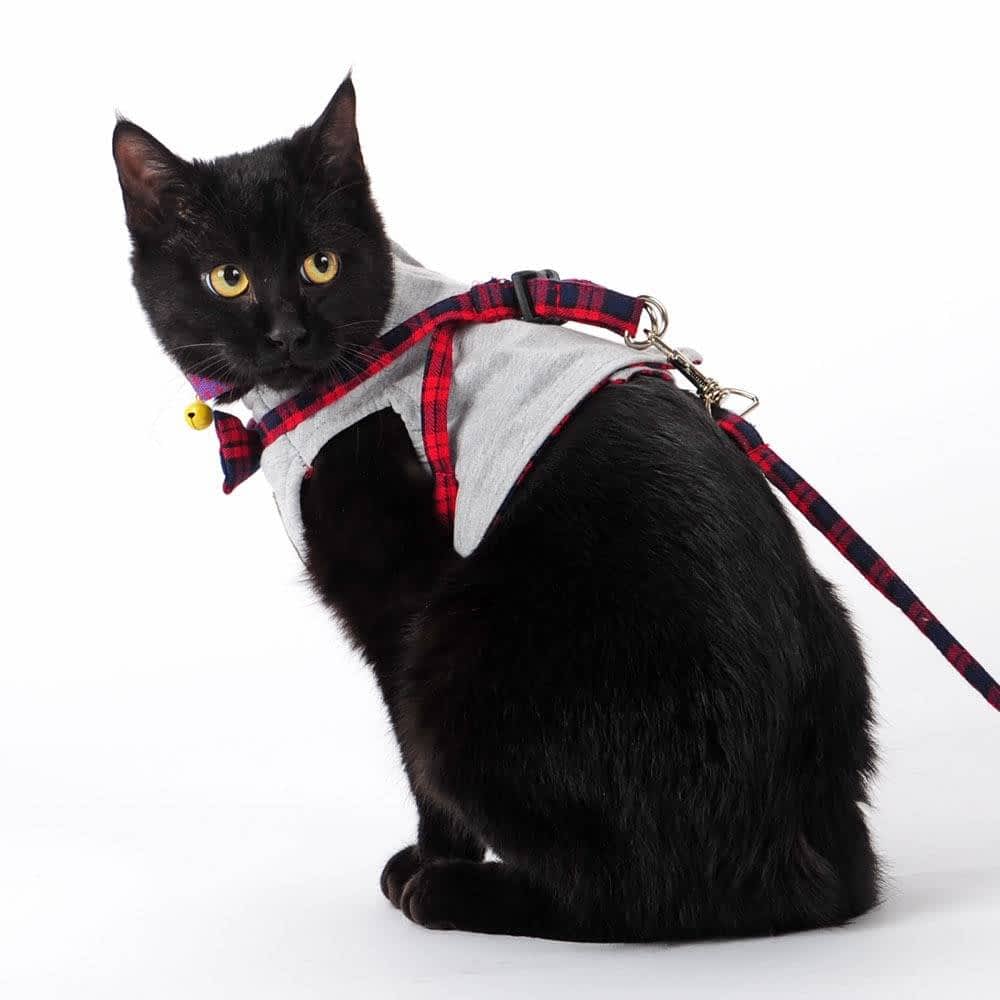 Cotton Harnesses For Cats