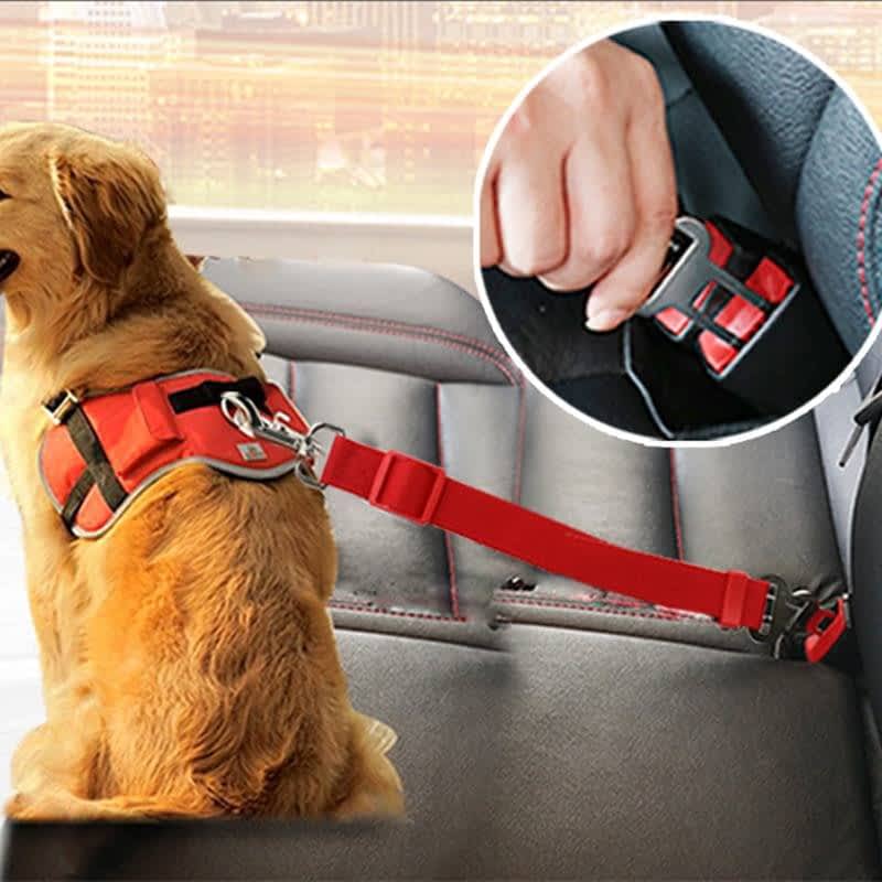 Ezy Click Adjustable Car Restraint